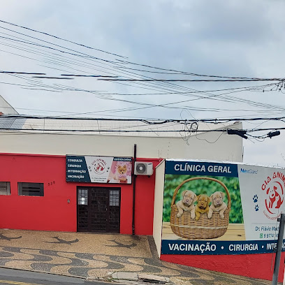 Imagem ilustrativa da empresa Cia Animal Dr. Flávio - Clínica Veterinária em Campinas - SP