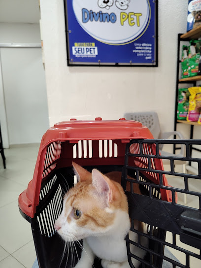 Imagem ilustrativa da empresa CLÍNICA DIVINO PET - Veterinário em Maceió - AL