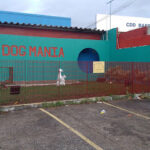 Imagem ilustrativa da empresa Clínica Dog Mania & Cia - Veterinário em Maceió - AL