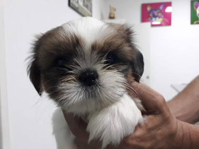 Clínica HIPER VET - Veterinário em Salvador - BA