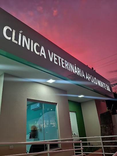 Imagem ilustrativa da empresa Clínica Médica Veterinária Apolo Norte Sul em Campo Grande - MS