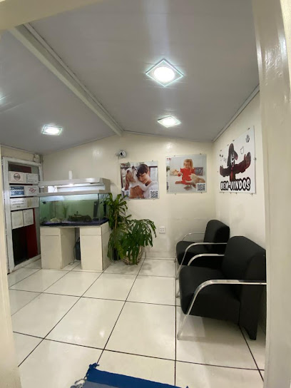 Imagem ilustrativa da empresa Clínica Veterinária 24 Horas Caoxonado - Hospital em Campinas - SP