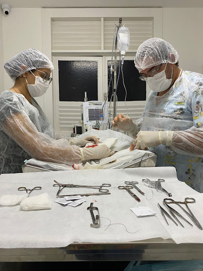 Imagem ilustrativa da empresa Clínica Veterinária 24h - Diagnovet Maceio em Maceió - AL