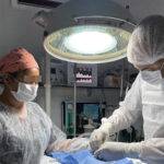 Imagem ilustrativa da empresa CLÍNICA VETERINÁRIA ALFA em Recife - PE