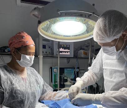 Imagem ilustrativa da empresa CLÍNICA VETERINÁRIA ALFA em Recife - PE