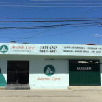 Imagem ilustrativa da empresa Clínica Veterinária Animal Care em Belo Horizonte - MG