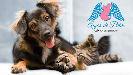 Imagem ilustrativa da empresa Clínica Veterinária Anjos de Patas em Rio de Janeiro - RJ