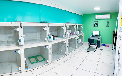 Imagem ilustrativa da empresa Clínica Veterinária ARENA em Rio de Janeiro - RJ