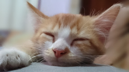 Clínica Veterinária Betania em Belo Horizonte - MG