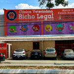 Imagem ilustrativa da empresa Clínica Veterinária Bicho Legal em Goiânia - GO
