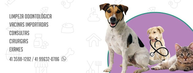Imagem ilustrativa da empresa Clínica Veterinária Bigode de Bicho em Curitiba - PR