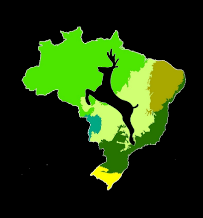 Imagem ilustrativa da empresa Clínica Veterinária Bioma em Santo André - SP