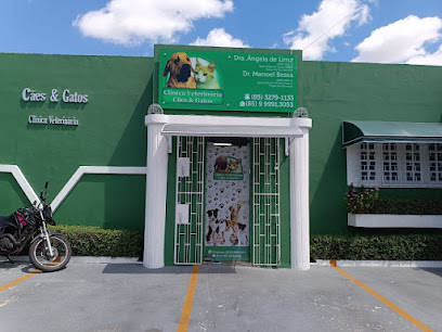 Imagem ilustrativa da empresa Clínica Veterinária Cães e Gatos LTDA em Fortaleza - CE