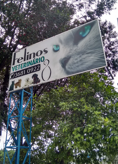 Imagem ilustrativa da empresa Clínica Veterinária Campesina em Osasco - SP