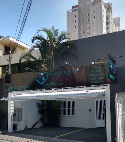 Imagem ilustrativa da empresa Clínica Veterinária Campestre em Santo André - SP