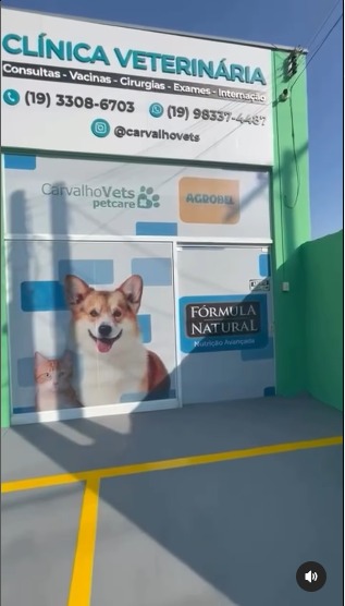 Imagem ilustrativa da empresa Clínica Veterinária CarvalhoVets em Campinas - SP
