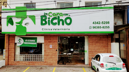 Clínica Veterinária De Cara Com O Bicho em São Bernardo do Campo - SP