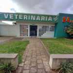Imagem ilustrativa da empresa Clínica Veterinária DogVet em Curitiba - PR