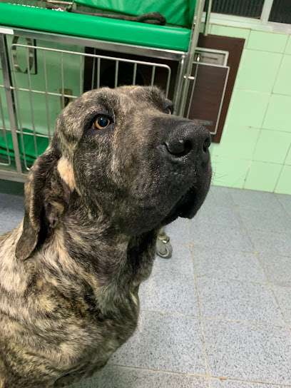 Clínica veterinária Dr. Abílio Gomes da Silva em Porto Alegre - RS
