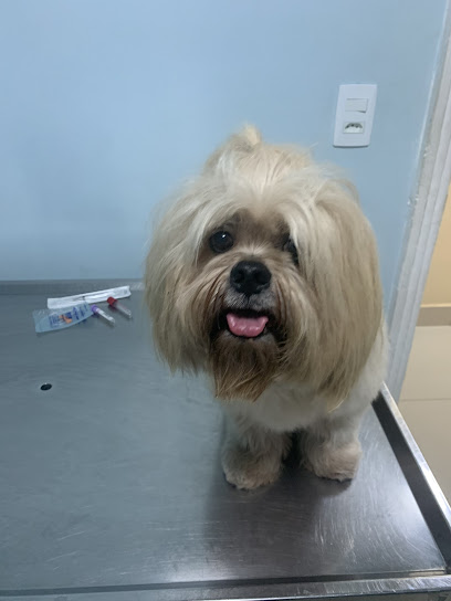 Clínica Veterinária Dr Romero em Manaus - AM