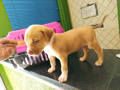 Clínica Veterinária Duperron em Goiânia - GO