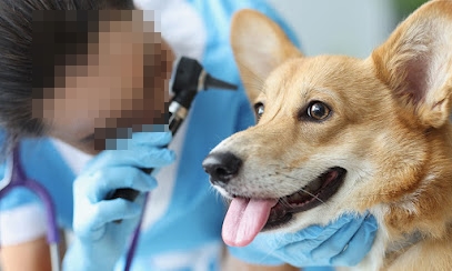 Imagem ilustrativa da empresa Clínica Veterinária e Pet Shop | Empório do Pet em Fortaleza - CE
