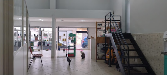 Imagem ilustrativa da empresa Clínica Veterinária e Pet Shop - Vet Moon Sorocaba em Sorocaba - SP