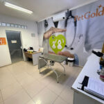 Imagem ilustrativa da empresa Clínica Veterinária Eco Saúde John Boyd em Campinas - SP