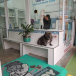 Imagem ilustrativa da empresa Clínica veterinária Fatboy em Guarulhos - SP