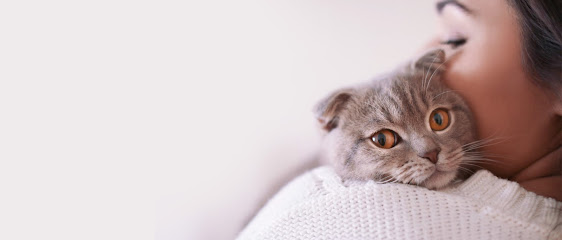 Clínica Veterinária Feline - Especialista em Gatos em Ribeirão Preto - SP