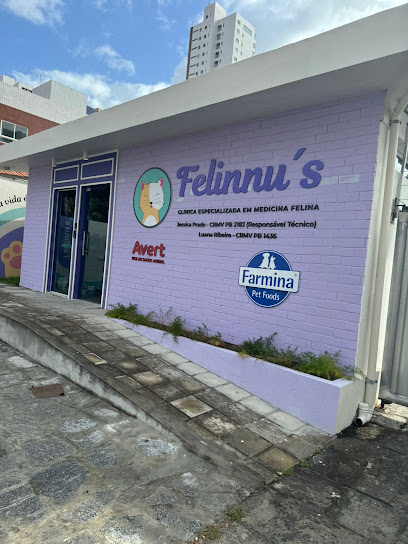Clínica Veterinária Felinnu's - Clínica veterinária especializada e exclusiva para Gatos em João Pessoa - PB