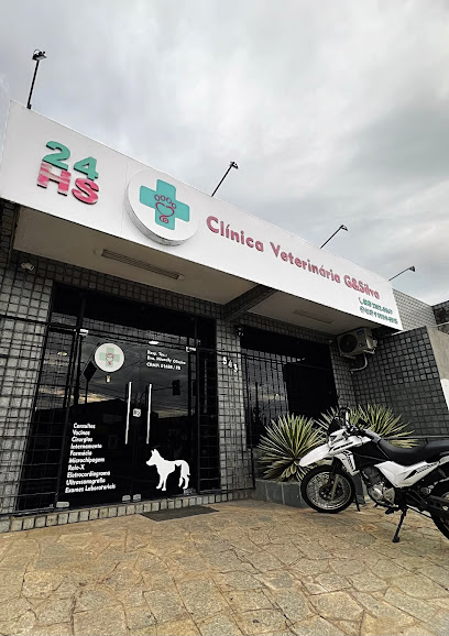 Imagem ilustrativa da empresa Clínica Veterinária G&Silva em João Pessoa - PB