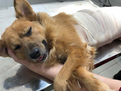 Clínica Veterinária Guanabara em Goiânia - GO