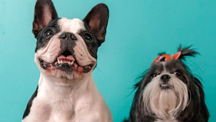 Clínica Veterinária Luther King em São Paulo - SP