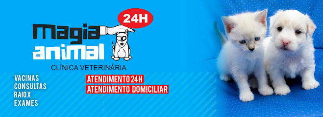 Imagem ilustrativa da empresa Clínica Veterinária Magia Animal em Curitiba - PR