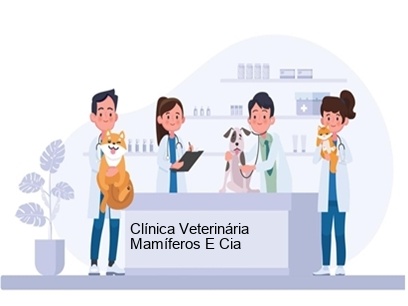 Clínica Veterinária Mamíferos e Cia em Belo Horizonte - MG