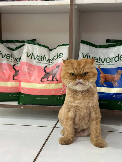Imagem ilustrativa da empresa Clínica Veterinária Mania de Gato em Campo Grande - MS