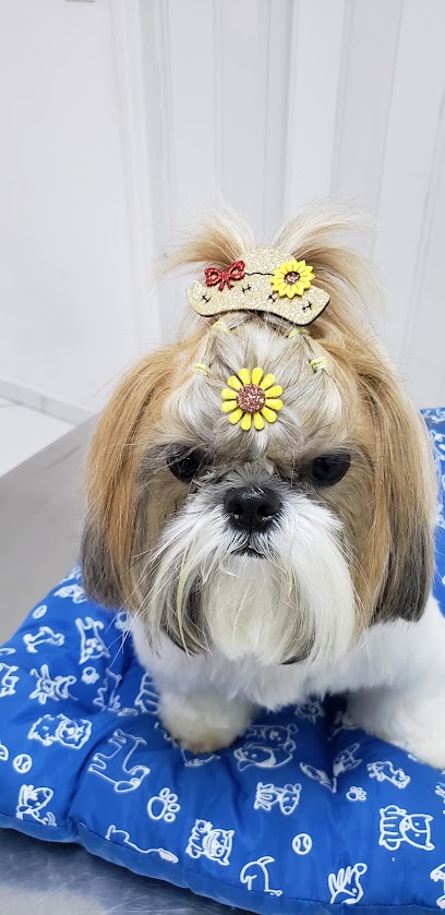 Imagem ilustrativa da empresa Clínica Veterinária Miranda em Sorocaba - SP