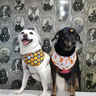 Clínica Veterinária New Dog em Belo Horizonte - MG