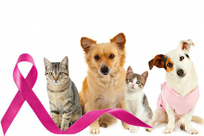 Imagem ilustrativa da empresa Clínica Veterinária Nutrimed Ipanema em Sorocaba - SP