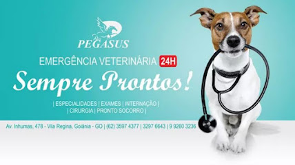 Imagem ilustrativa da empresa Clínica Veterinária Pegasus em Goiânia - GO