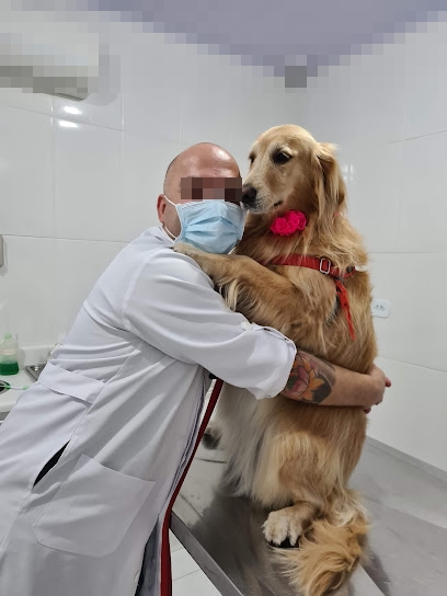 Imagem ilustrativa da empresa Clínica Veterinária Physiovet em Santo André - SP