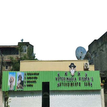 Imagem ilustrativa da empresa Clínica veterinária Pirata's em São Gonçalo - RJ