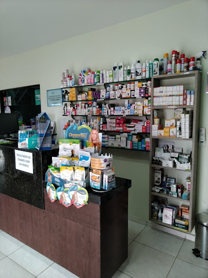 Imagem ilustrativa da empresa Clínica Veterinária Quatro Patas em Maceió - AL