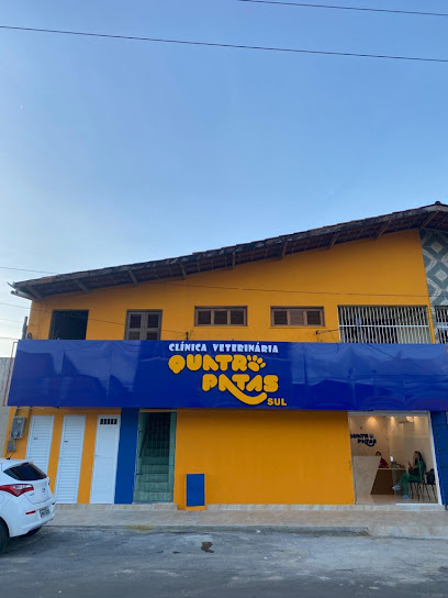 Imagem ilustrativa da empresa Clínica Veterinária Quatro Patas Sul em Fortaleza - CE