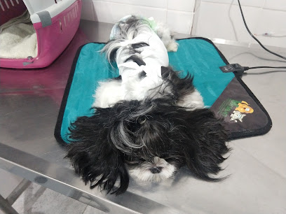 Imagem ilustrativa da empresa Clínica Veterinária São Caetano em Salvador - BA