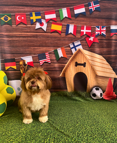 Imagem ilustrativa da empresa Clínica Veterinária São Francisco em Campo Grande - MS