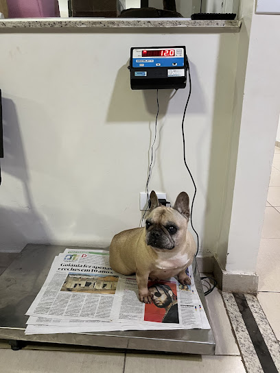 Imagem ilustrativa da empresa Clínica Veterinária Saúde Animal em Goiânia - GO