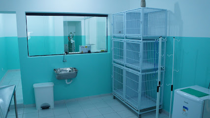 Imagem ilustrativa da empresa Clínica Veterinária Saúde Única em São Bernardo do Campo - SP