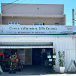 Imagem ilustrativa da empresa Clínica Veterinária Sitio Cercado em Curitiba - PR